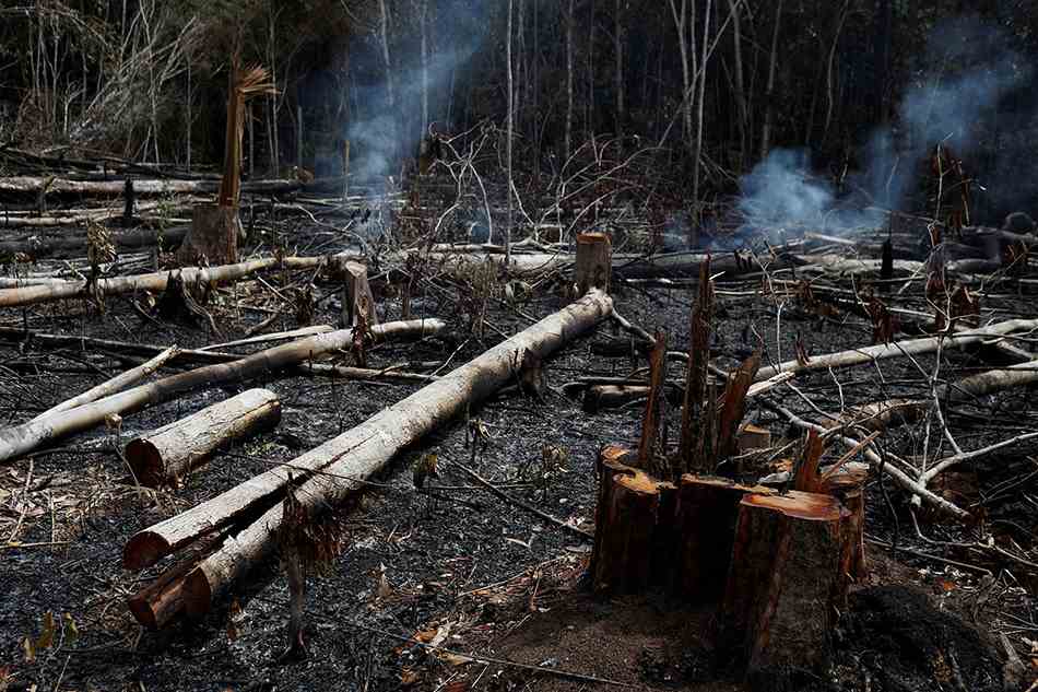 当地时间2019年8月21日，巴西亚马孙州，亚马孙雨林遭遇大火侵袭。据巴西国家空间研究所的卫星数据显示，亚马孙地区森林大火已持续燃烧了16天，“地球之肺”正面临不能承受之重。 视觉中国 图